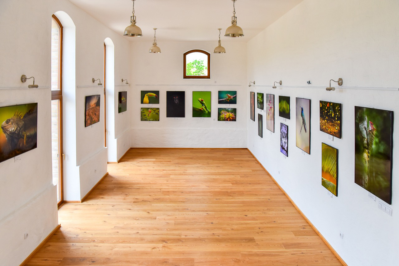 galerie.jpg